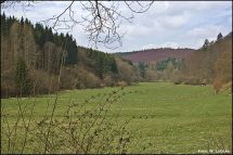 1 Blick ins Waldwiesental